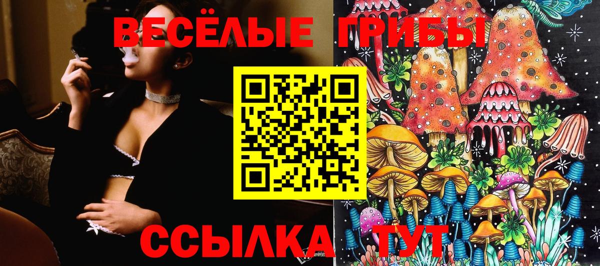 Галлюциногенные грибы Magic Shrooms Добрянка