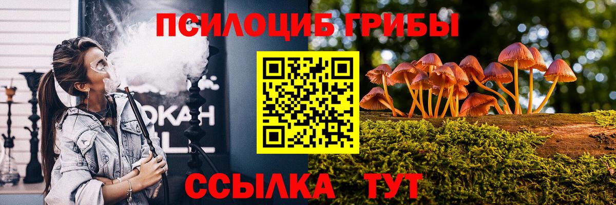 Псилоцибиновые грибы Psilocybe  Вход с VPN  Добрянка 